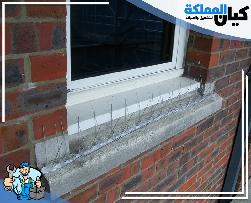 شركة مكافحة الحمام بالرس