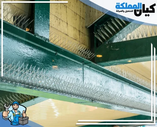 خدمات شركة مكافحة الطيور بالرس