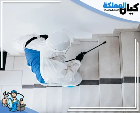 شركة مكافحة حشرات بالقصيم