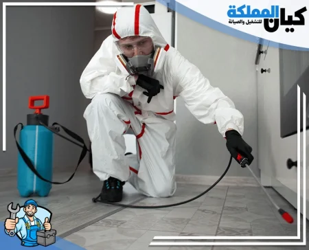 شركة مكافحة حشرات بينبع