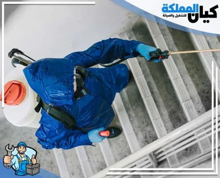 شركة مكافحة حشرات بصبيا