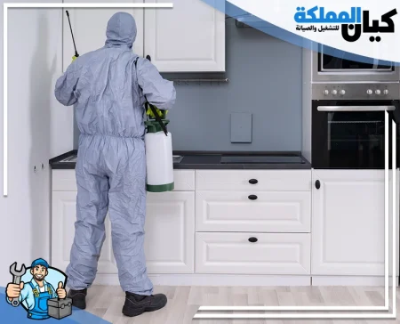 شركة مكافحة حشرات بخميس مشيط