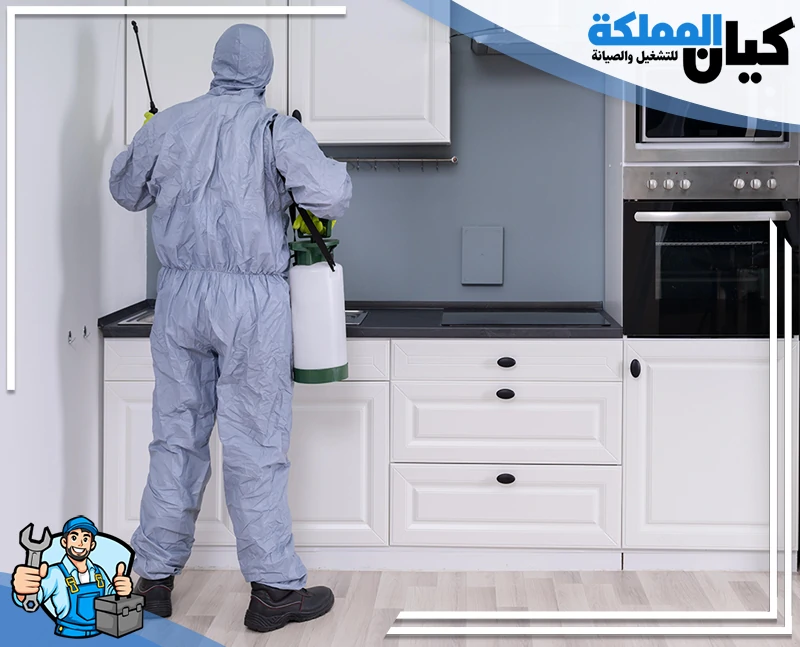 شركة مكافحة حشرات بخميس مشيط