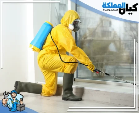 شركة مكافحة حشرات بحائل