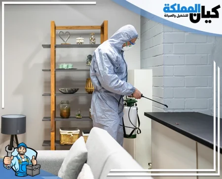 شركة مكافحة حشرات ببيشة