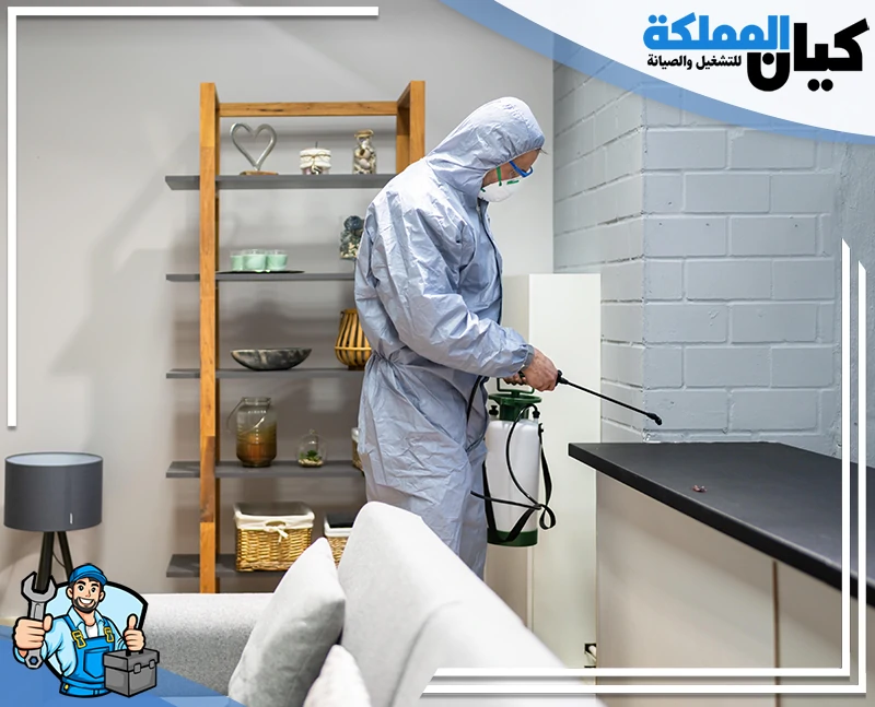 شركة مكافحة حشرات ببيشة