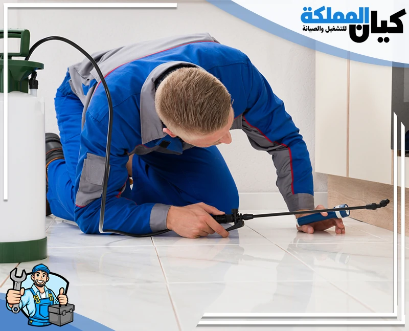 شركة مكافحة حشرات بالخرج