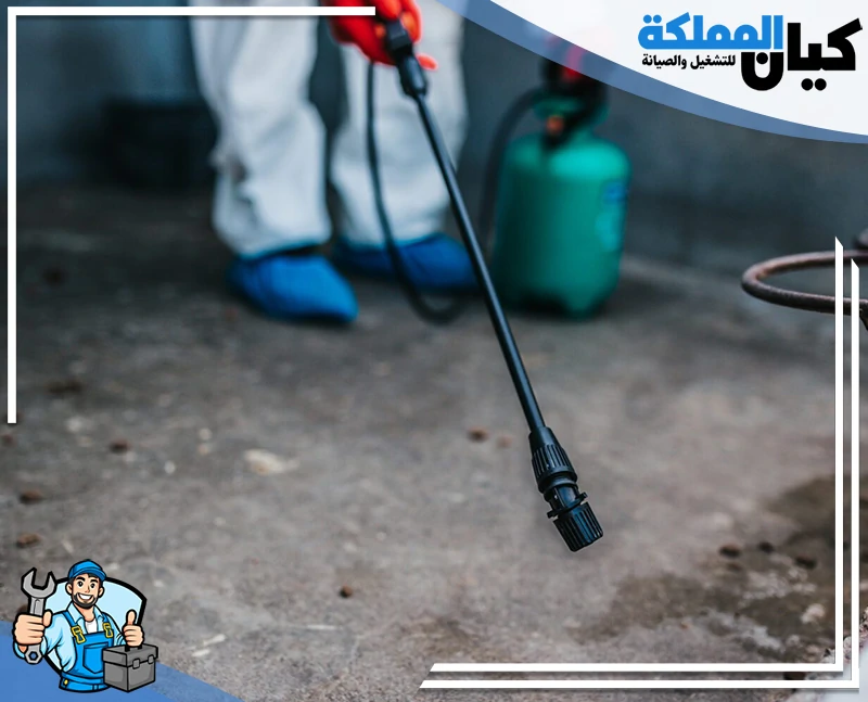 شركة مكافحة حشرات بالطائف