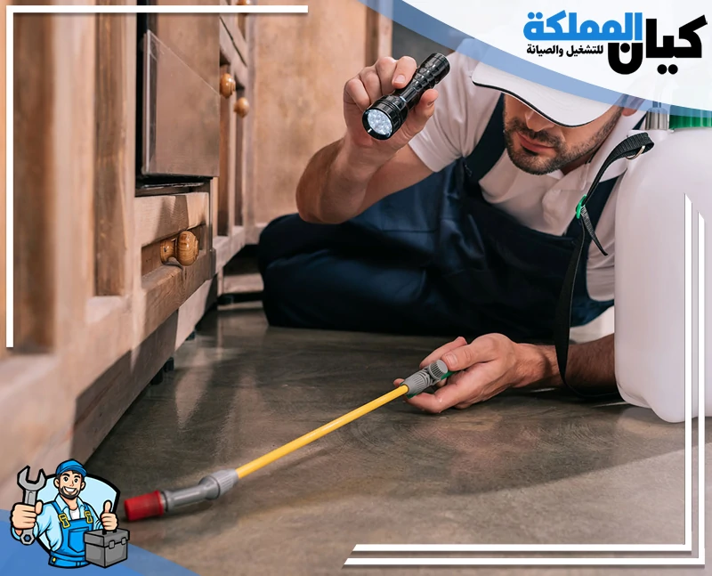 شركة مكافحة حشرات بحفر الباطن