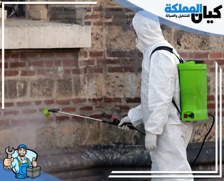 شركة مكافحة حشرات بسيهات