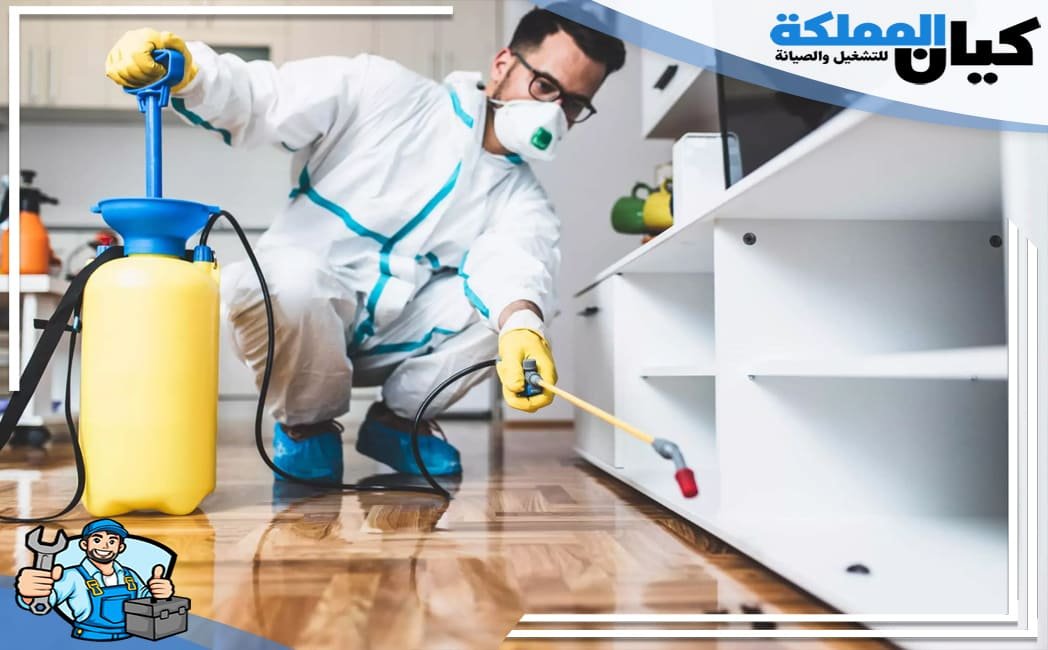 ارخص شركة مكافحة حشرات بالقنفذة