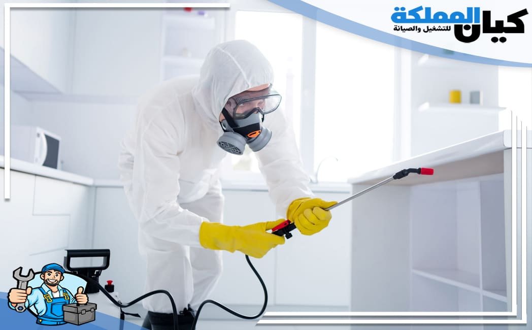 ارخص شركة مكافحة حشرات ببريدة