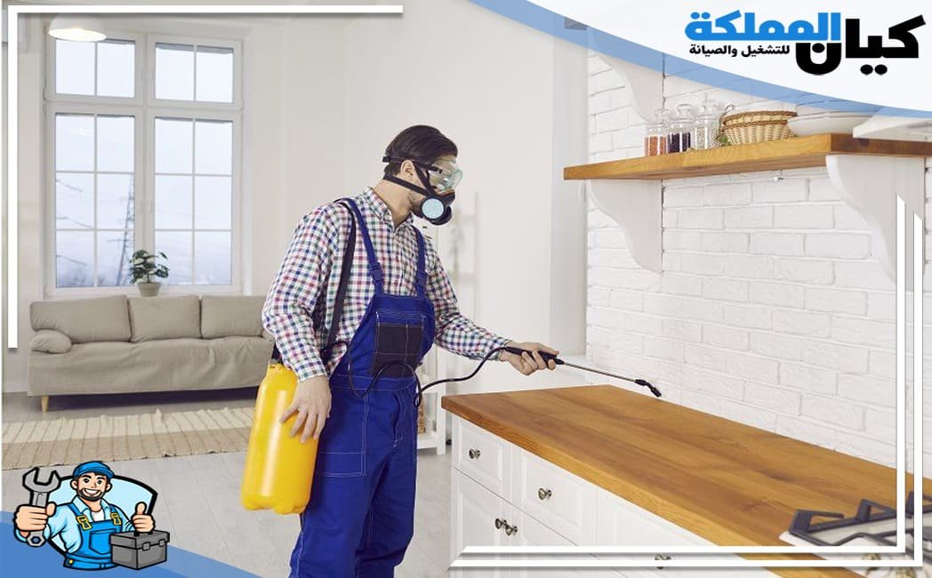 ارخص شركة مكافحة حشرات بعرعر