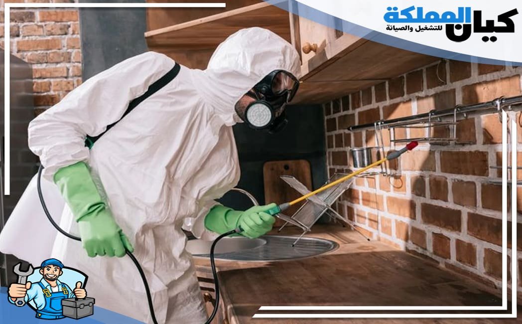 افضل شركة مكافحة حشرات بالقنفذة