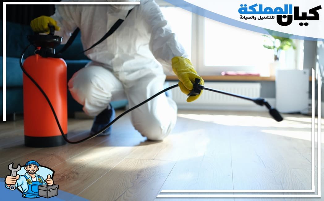 افضل شركة مكافحة حشرات ببريدة