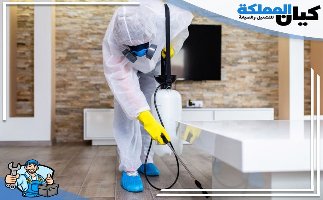 خطوات شركة مكافحة حشرات بالقنفذة