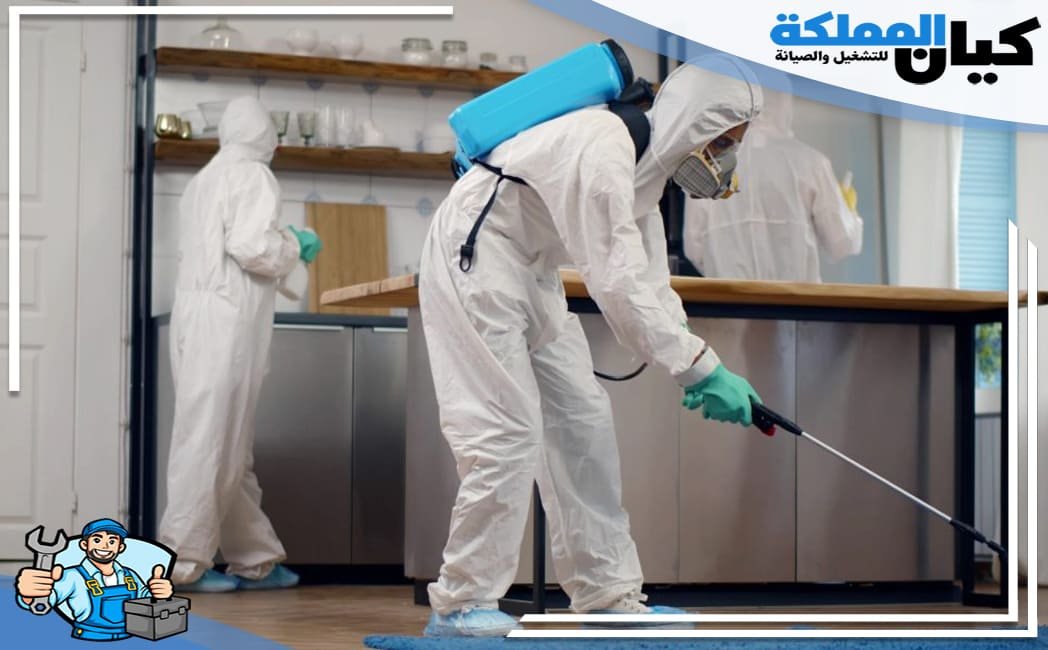 شركة مكافحة حشرات بالباحة