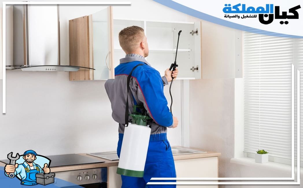 شركة مكافحة حشرات بعرعر