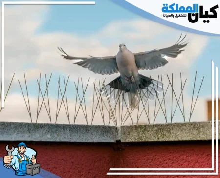 شركة مكافحة الحمام بالدمام